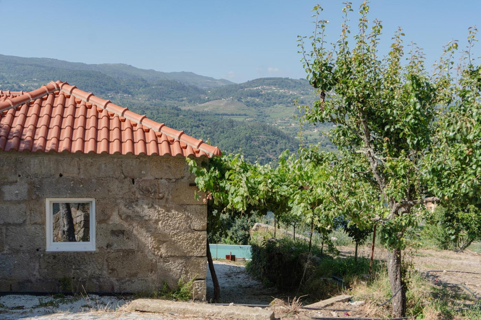 Вилла Feel Discovery Casa Da Granja Douro Valley Резенде Экстерьер фото